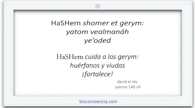 Los  estados de conciencia: ‘gerym’ huérfanos y viudas